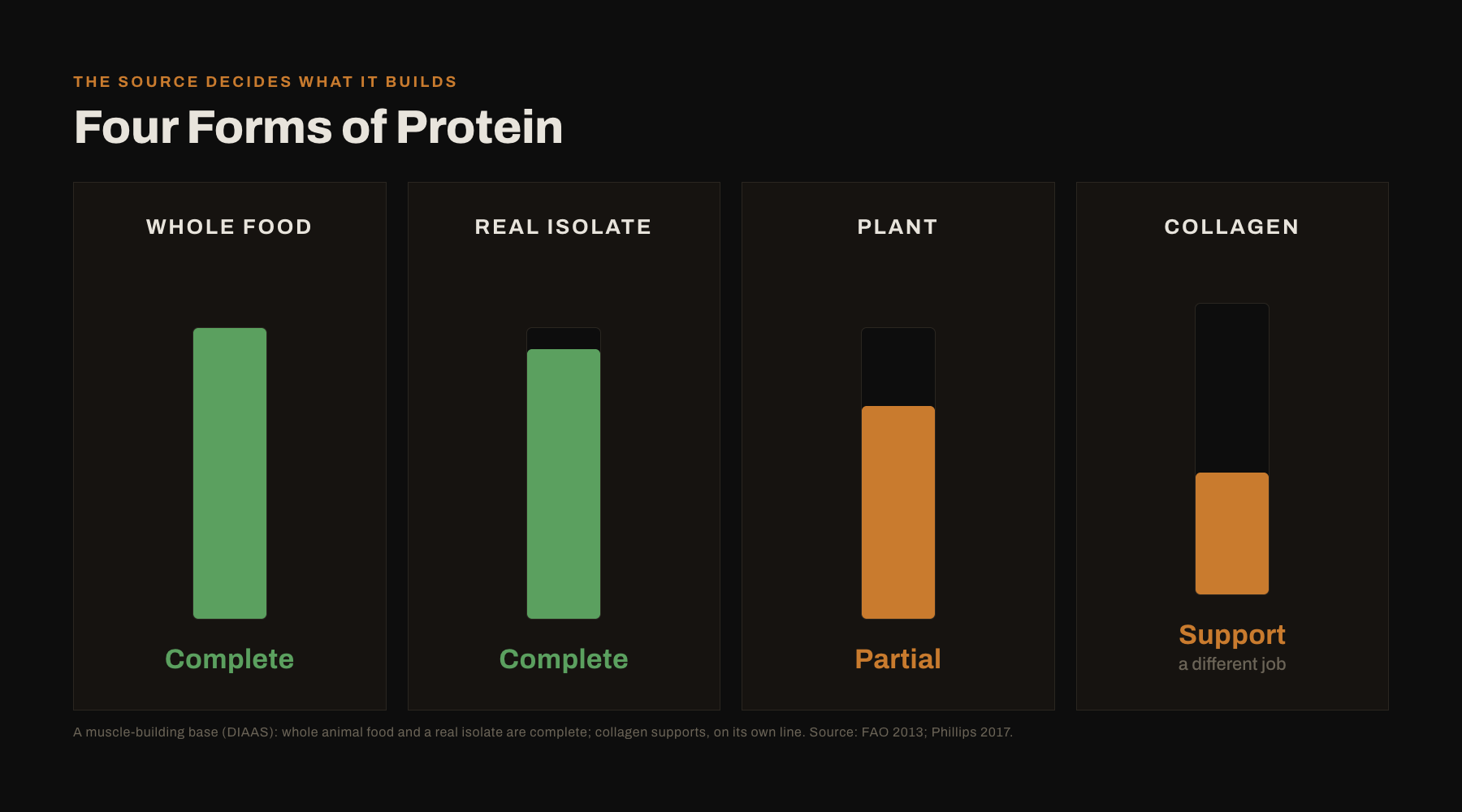 Four forms of protein